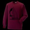 Kids raglan sleeve sweatshirt Thumbnail