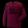 Kids raglan sleeve sweatshirt Thumbnail