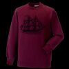 Kids raglan sleeve sweatshirt Thumbnail