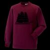 Kids raglan sleeve sweatshirt Thumbnail