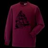 Kids raglan sleeve sweatshirt Thumbnail