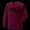 Kids raglan sleeve sweatshirt Thumbnail