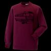 Kids raglan sleeve sweatshirt Thumbnail