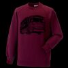 Kids raglan sleeve sweatshirt Thumbnail