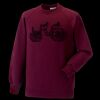 Kids raglan sleeve sweatshirt Thumbnail