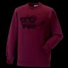 Kids raglan sleeve sweatshirt Thumbnail