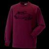 Kids raglan sleeve sweatshirt Thumbnail