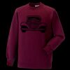 Kids raglan sleeve sweatshirt Thumbnail
