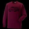 Kids raglan sleeve sweatshirt Thumbnail
