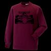 Kids raglan sleeve sweatshirt Thumbnail
