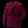Kids raglan sleeve sweatshirt Thumbnail