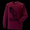 Kids raglan sleeve sweatshirt Thumbnail