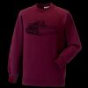 Kids raglan sleeve sweatshirt Thumbnail
