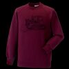Kids raglan sleeve sweatshirt Thumbnail