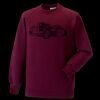Kids raglan sleeve sweatshirt Thumbnail