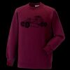 Kids raglan sleeve sweatshirt Thumbnail