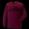 Kids raglan sleeve sweatshirt Thumbnail