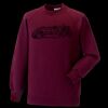 Kids raglan sleeve sweatshirt Thumbnail