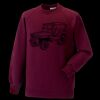 Kids raglan sleeve sweatshirt Thumbnail