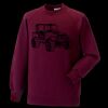 Kids raglan sleeve sweatshirt Thumbnail