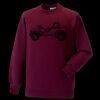 Kids raglan sleeve sweatshirt Thumbnail