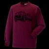 Kids raglan sleeve sweatshirt Thumbnail