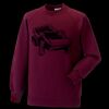 Kids raglan sleeve sweatshirt Thumbnail