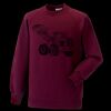 Kids raglan sleeve sweatshirt Thumbnail