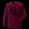 Kids raglan sleeve sweatshirt Thumbnail