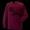 Kids raglan sleeve sweatshirt Thumbnail