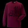 Kids raglan sleeve sweatshirt Thumbnail
