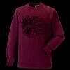 Kids raglan sleeve sweatshirt Thumbnail