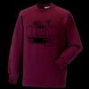 Kids raglan sleeve sweatshirt Thumbnail