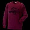 Kids raglan sleeve sweatshirt Thumbnail