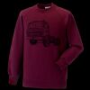 Kids raglan sleeve sweatshirt Thumbnail