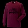 Kids raglan sleeve sweatshirt Thumbnail