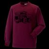 Kids raglan sleeve sweatshirt Thumbnail