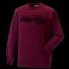 Kids raglan sleeve sweatshirt Thumbnail
