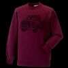 Kids raglan sleeve sweatshirt Thumbnail
