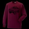 Kids raglan sleeve sweatshirt Thumbnail