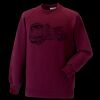 Kids raglan sleeve sweatshirt Thumbnail