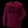 Kids raglan sleeve sweatshirt Thumbnail
