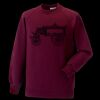 Kids raglan sleeve sweatshirt Thumbnail