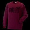 Kids raglan sleeve sweatshirt Thumbnail