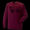 Kids raglan sleeve sweatshirt Thumbnail