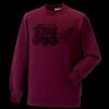 Kids raglan sleeve sweatshirt Thumbnail