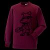 Kids raglan sleeve sweatshirt Thumbnail