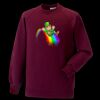 Kids raglan sleeve sweatshirt Thumbnail
